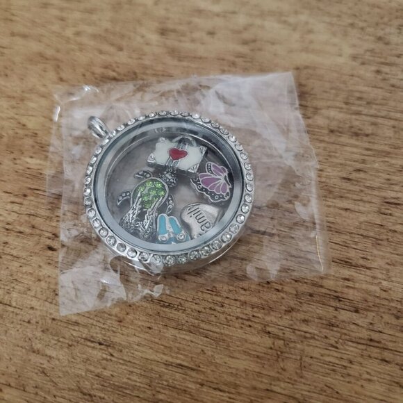 NEW Silver Floating Charm Locket CZ Halo Interchangeable Family & Summer Friends - Picture 3 of 13